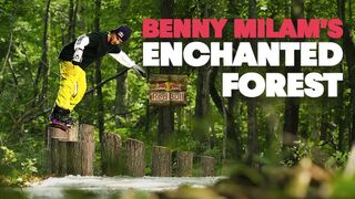 Benny Milam's Summer Dream | ENCHANTED FOREST