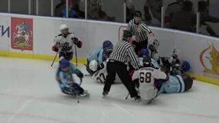 Sledge Hockey Fights