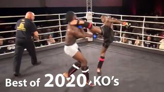 MMA's Best Knockouts of the Year 2020 | Part 1, HD