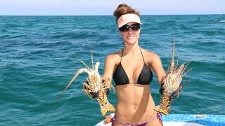 Catching LOBSTER in the Florida Keys