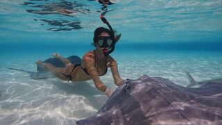 SWIMMING with STINGRAYS in the Cayman Islands