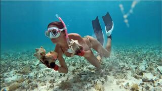DIVING for Lobsters and conch in GRAND BAHAMA