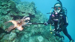Shooting lionfish while scuba diving in the Caribbean