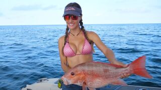 RED SNAPPER & GROUPER Fishing! | LIVIN the DREAM