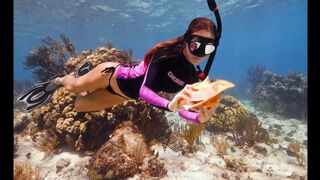 Diving for CONCH in the Cayman Islands