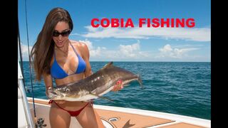 Catching COBIA in Florida