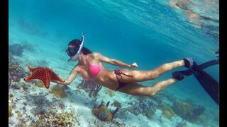 Shallow water Turtles & Starfish in the BAHAMAS