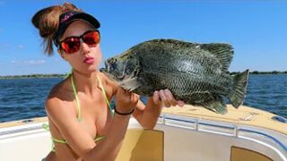 FISHING for TRIPLETAIL in Florida