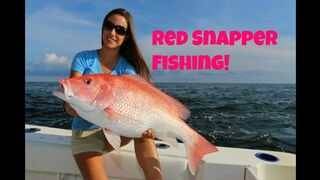 Best of Venice, Louisiana RED SNAPPER fishing part 1