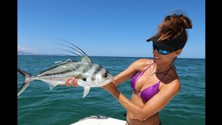 Roosterfish in MEXICO