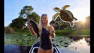 Catching BASS with TURTLE Baits