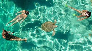 Bahamas Trip Day 3: Swimming with SEA TURTLES
