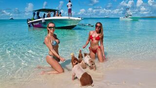 Bahamas Trip Day 1: Swimming with Pigs and Exploring islands