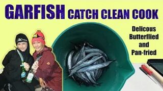 Garfish Catch Clean and Cook
