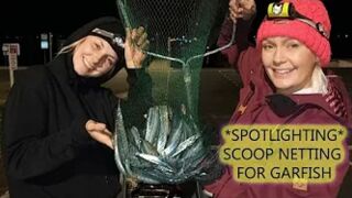 Spotlighting and scoop netting for Garfish