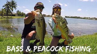 Bass & Peacock Fishing on the Lake | Jigging | Catch and Release