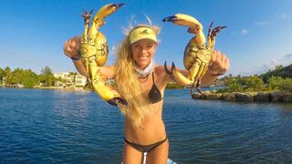 BEST How to Go CRABBING in Florida! NEW Info & Everything You Need to Know!