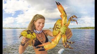 STONE CRAB CLAWS! How To ( Catch Clean Cook ) the Most Expensive Seafood Ever