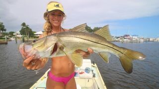 Kisses, Snook Fishing & BAIT swimming in the Parking Lot In Florida!