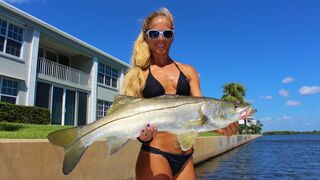 Florida Inshore Snook Fishing: My First Slot
