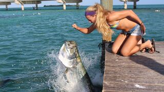 Hand Feeding Giant Tarpon in the Florida Keys