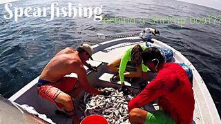 Spearfishing For Tuna behind shrimp boat [EPIC FAIL]