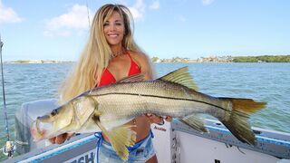 Girl puts Dad ON THE FISH! Snook & Barracuda Inshore Fishing