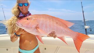 BIG Mutton & Grouper Wreck Fishing the Florida Keys