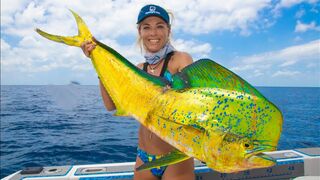 How To Fillet a MAHI MAHI & See What I Found in the BELLY! Dolphin Fish Fillet- Dorado Fish Cleaning