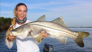 Catching MONSTER Snook, the fish that changes it's sex!