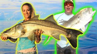 CRAZY INSHORE BITE! Fishing for MONSTER Snook and Jack with Live Mullet