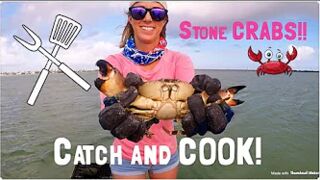 STONE CRABS!! Catching, Cooking and Eating TASTY!