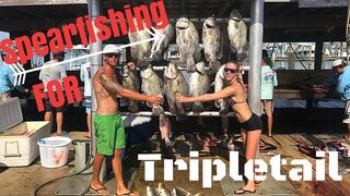 Spearfishing Tripletail off Oilrigs (Catch Clean Cook)