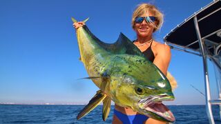 Florida Offshore Fishing: Big Mahi!