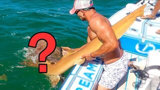 MISTAKEN IDENTITY Leads to Giant Surprise Catch!