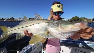CATCH FISH the easy way...Trolling Inshore for Keeper Snook and MORE!