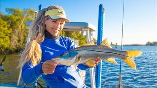 HOW TO Catch 10 Different Fish! MULTI SPECIES Inshore Saltwater Fishing Florida Video!