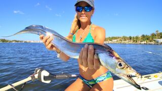 Ribbonfish INVASION Florida Inshore Saltwater Fishing