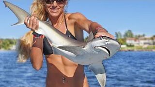 Inshore Fishing for Aggressive Sharks & Toothy Bluefish!