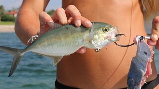 Florida Inshore Fishing: Catching Bait to Landing Snook, Jacks & False Albacore
