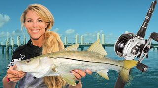 Florida Inshore Fishing for Jack Crevalles ft. BEST LURES