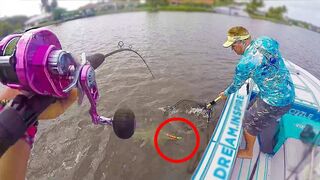 Florida Inshore Fishing for GIANT Snook caught on Big NEON Lure