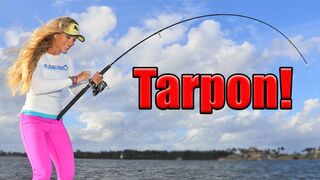 BIG fish, TINY lure! Florida Inshore Fishing for HUGE Tarpon!