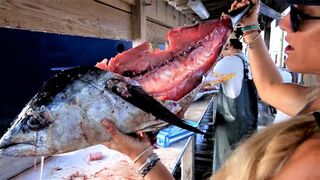 How to Fillet a Yellowfin Tuna & see what I found in the belly!