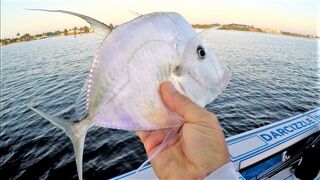 WEIRD Fish Caught Unexpectedly in Florida