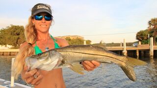 Offshore & Inshore Saltwater Florida Fishing Day Video