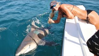 Florida Offshore Fishing Girl Lands 500lb+ Monster Shark!