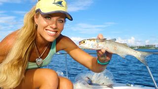 The SECRET Revealed! How To Catch BAIT FISH & Micro Fish Video!