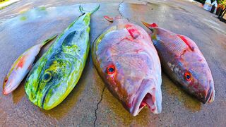 How To Florida Fishing Muttons & Mahi! Deep Sea Fishing (Stuart Florida)