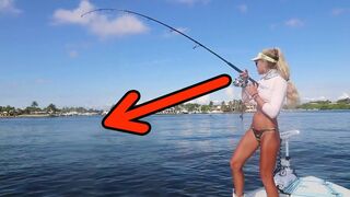 SHARKS Caught with BASS GEAR! Florida Inshore Fishing Video!